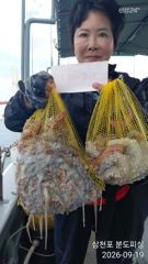 9월19일(토요일) 돌문어(반종일) 조황입니다. 사진