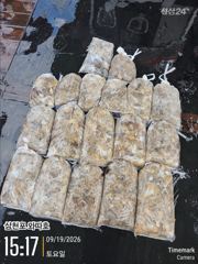 쭈꾸미 세자리는 기본 200수 목표로하고 오세요 사진