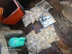 9월 19일 쭈갑출조 조황 사진