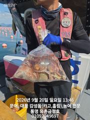 통영 금정호 문어선상 마릿수 손맛!!조황 내일오전 자리여유있습니… 사진