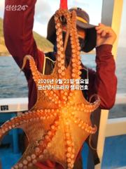 21일 주간문어~오늘도 잘 나오고있어요~~~덩치급 문어들~망탱이 빵빵합니다~ 군산낚시프라자 임마누엘호 사진