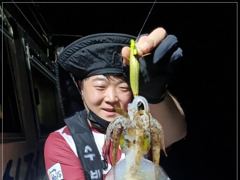무늬오징어 조황~ 평균 두자리수