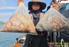 고흥 녹동항 문어조황 사진