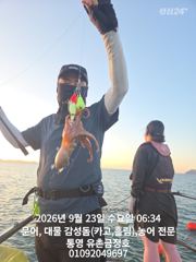 통영 금정호 아침부터 문어들 반응 좋습니다 내일오후 자리있습니다 사진