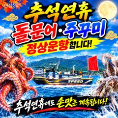 강한 바람속에 야간 문어 우당탕~잡고 왔습니다!(선수모집) 사진