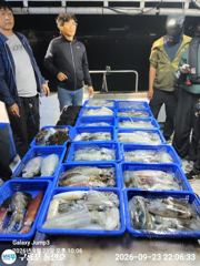 [포항] 무늬오징어낚시 사진