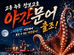 추석재수용 녹동돌문어 물반문어반7탄 사진