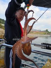삼천포 마린보이 9. 24. 목요일 주간문어 다녀왔습니다. 사진