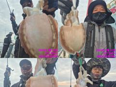 <다크호스호> 쭈꾸미 오후 마무리 조황(24일)-금일 오후 자리있습니다 사진