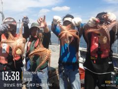 [진해] 돌문어 키로급들 퍽퍽~~(내일예약가능) 사진