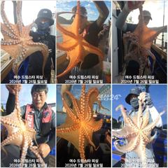 (여수 드림스타)돌문어사냥 나갑니다. 전투낚시 전투낚시 사진