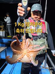 삼천포 마린보이 9. 26. 토요일 야간문어 마릿수 대박 조황으로 다녀왔습니다. 사진