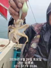 ☆ 9월26일 마루호 쭈꾸미 실시간 조항~☆ 사진