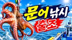 27일 문어>>생미끼>>>쭈갑낚시 예약가능합니다 사진