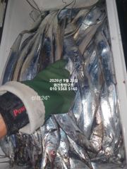 내만갈치)추석 연휴 대폭팔합니다~많이 잡았습니다 예약가능 사진