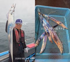[통영] 통영 수 은 호<<>>갈치 조황입니다 오늘 3자리여유 있습니다 … 사진