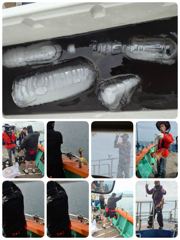 27일주간 실시간 돌문어!!쿵콰광 월화수 쭉모집줏 사진