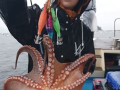 [진해] 빗속에 돌문어 굵직한 넘으로 많이잡고 굿조황.. ( 예약가능 … 사진