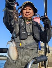 9월27일8물사리물에도갑오징어+쭈꾸미쌍걸이로망태기빵빵한조황요~(29일30일갑오징어위주쭈꾸미병행정상출조여유자리.)갑오징어잘~나옵니다. 사진