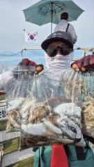 주꾸미 글만 보기 사진