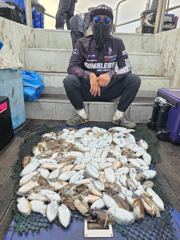 2026년9월27일 오천항범블비호 갑오징어출조 대박조황■■장원173갑.153갑등 총10분■■ 사진