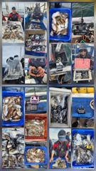 9월27일 오천항 팀오디세이호 갑오징어~^^ 사진