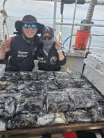 26년 9월 27일 오천항 꺄오호 꺄오선장 갑오징오 굿조황 사진