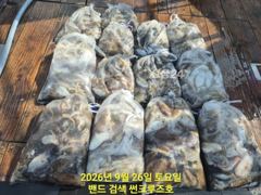 26일 군산썬크루즈호 쭈꾸미 조황입니다 사진