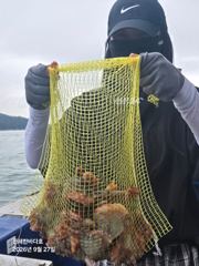 오늘도 묵직하게 올라오는 굵직굵직 돌문어 찐한 손맛~! 계속해서 달립니다^0^ 사진