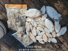 갑 주 사진