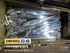 [갈치/텐빈/텐야]27일입항~만쿨자부터[오늘예약가능] 사진