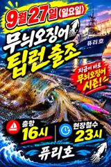9월 27일 무늬 오징어 인원 상관없이 무조건 출항 사진
