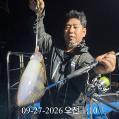 [ 무늬 팁런 ] 연이틀 무늬 마릿수 바닥 조황 사진