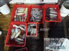 9월27일 무늬오징어 팁런조과입니다.