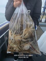 27일(일) 삼천포 주꾸미 조황입니다.(낼 출조확정 예약중!!!) 사진