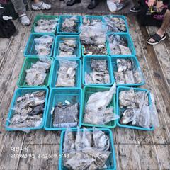 무창포 대진피싱 9월27일 쭈꾸미 조황입니다~ 사진