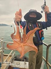 [진해] [진해문어낚시] 굵직굵직 돌문어의 찐한 손맛~!! 내일도 계속해… 사진