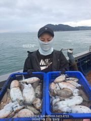 여수뉴포시즌9/27(일)갑오징낚시조황 사진