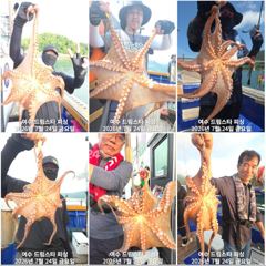 (여수 드림스타)돌문어사냥 나갑니다. 돌문어만 공격! 자리여유 많아요 사진