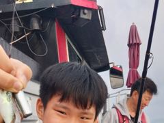 9월 28일 조과입니다 사진