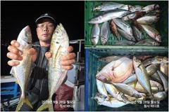 참돔.4짜 대전갱이외 호조황. 사진