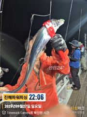 [갈치/텐빈/텐야]28일입항~씨알좋은놈부터~잔씨알까지[화요일]예약가능 사진