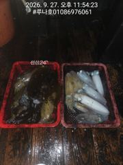 일요일저녁 208개 월요일새벽 243개 호조황 사진