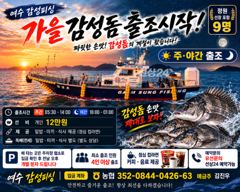 30일(수)마릿수감성돔(예약가능)출조~ 사진