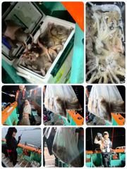 [포항] 돌문어 폭팔!! 28일실시간 뉴대양호 사진