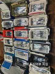 29일새벽 씨알좋은 내만갈치 계속되는 대뱍행진~!! 오늘 예약가능 사진