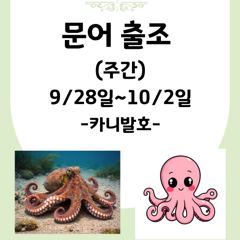 ▶▶ (군산. 웅비1호) 내일. 9/30. 주꾸미~정상출항해요! 사진