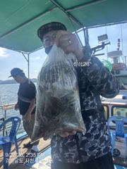 [사천] 이번주 쭈꾸미 출조합니다 자리여유 다음주도 자리여유 많습니다 사진