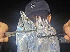 내만갈치 씨알 후덜덜! 쓸어담고 오늘도 만쿨~!! (수목예약중) 사진