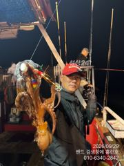 29일 야간 홈런호 17분 문어 실시간 조황 사진
